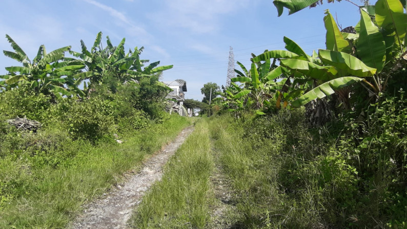 Land Freehold 205 Sqm in Great Location Mengwi Badung