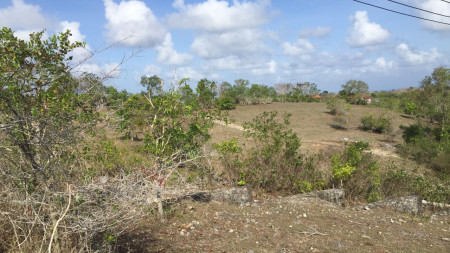 1200 Sqm Land Freehold For Sale