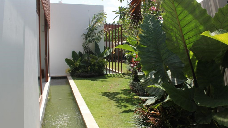 2 Bedrooms Villa Freehold Set amongst  the emerald rice  fields which  gild  the  village  of  Pererenan !!