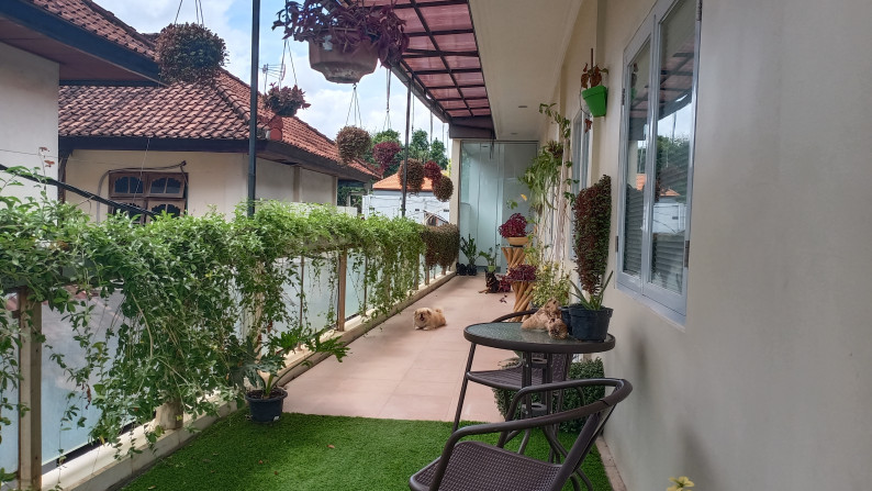 Commercial Property Shop + Apartment For Sale in Seminyak With Very Motivated Seller!!!!