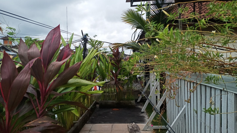 Commercial Property Shop + Apartment For Sale in Seminyak With Very Motivated Seller!!!!