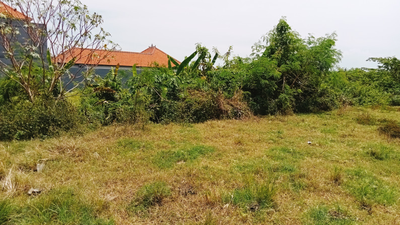 Leasehold land   in premium area Batu Mejan , Canggu