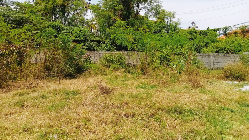 Leasehold land   in premium area Batu Mejan , Canggu