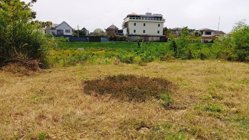 Leasehold land   in premium area Batu Mejan , Canggu