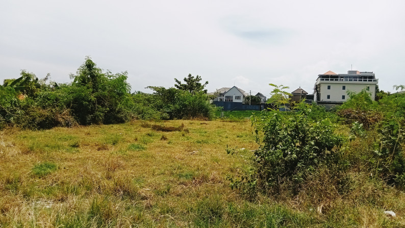 Leasehold land   in premium area Batu Mejan , Canggu