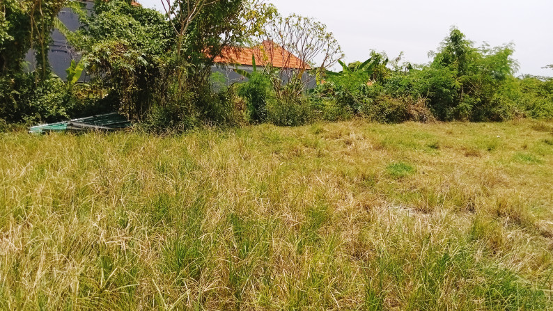 Leasehold land   in premium area Batu Mejan , Canggu