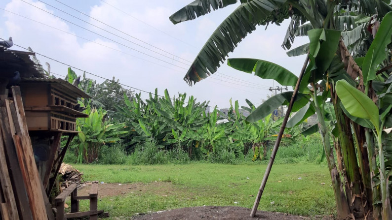 Dijual Tanah untuk Perumahan di Jln Abdul Gani Cilodong Bogor Lokasi dikelilingi Perumahan Perumahan