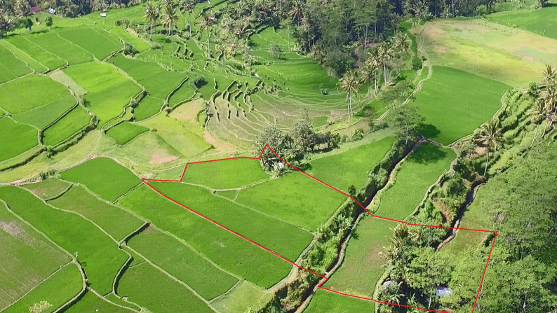 Unblocked Rice Field View Land In Tampak Siring Close To Ubud