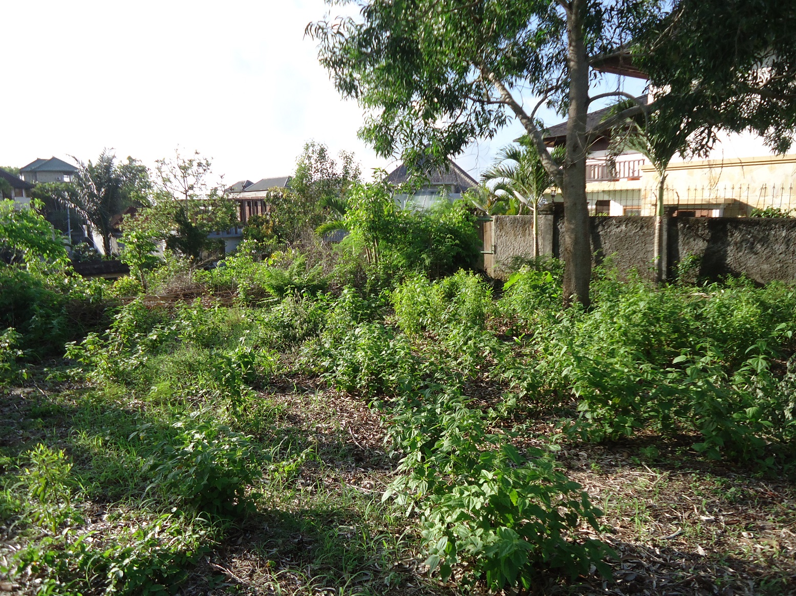 Freehold Land In Jimbaran With Bay Views Ideal For Villa Complex