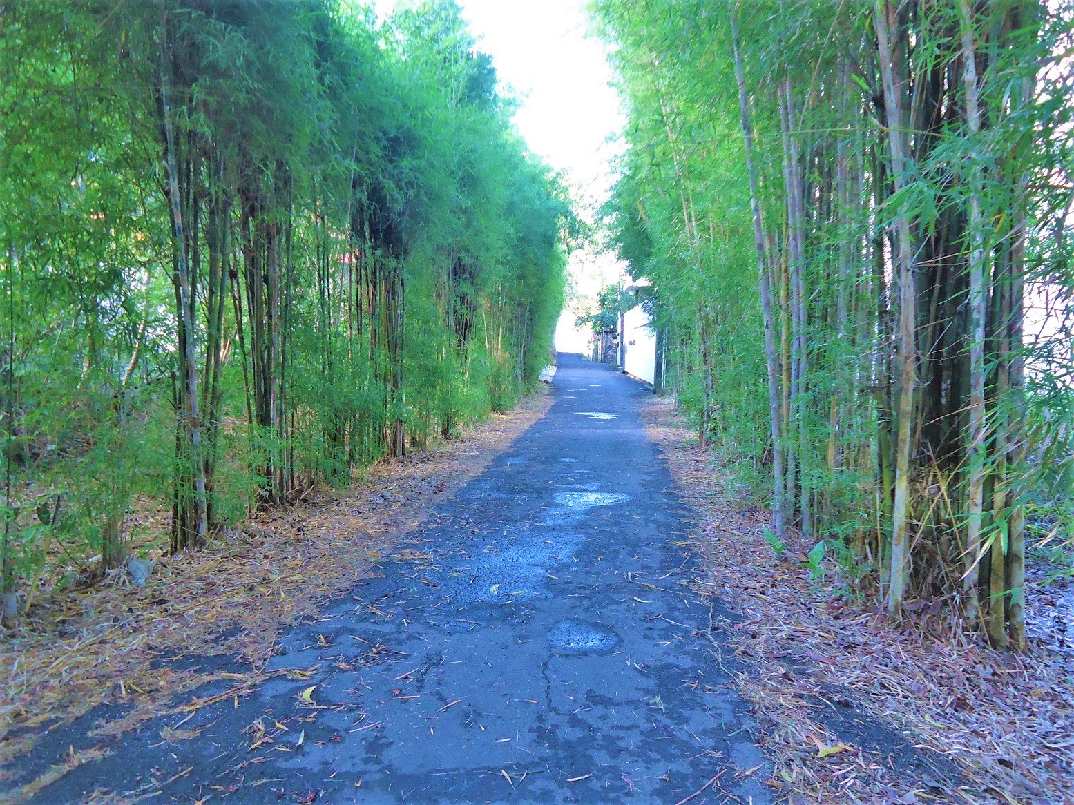 Freehold Land In Jimbaran With Bay Views Ideal For Villa Complex
