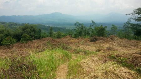 Di Jual Cepat Tanah di Mega Mendung Puncak, Bogor Jawa Barat