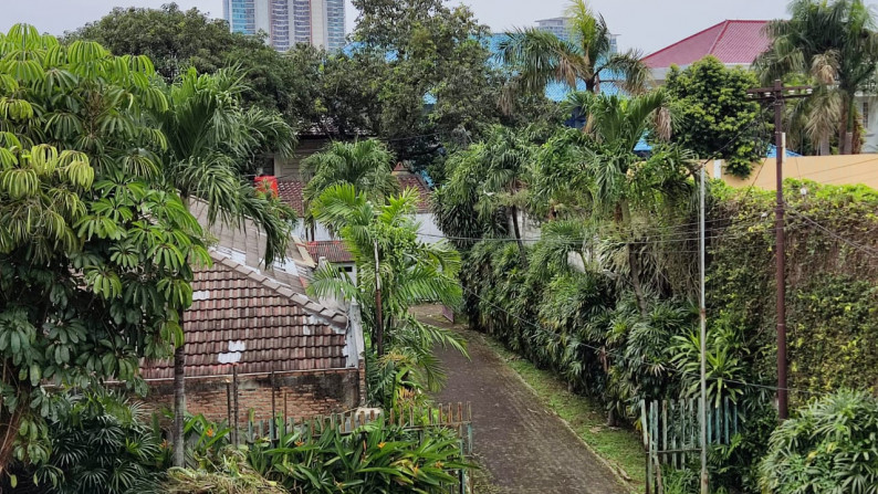 Di sewakan rumah Luas di Kemang Bangka jakarta Selatan siap huni lokasi strategis bisa utk kantor