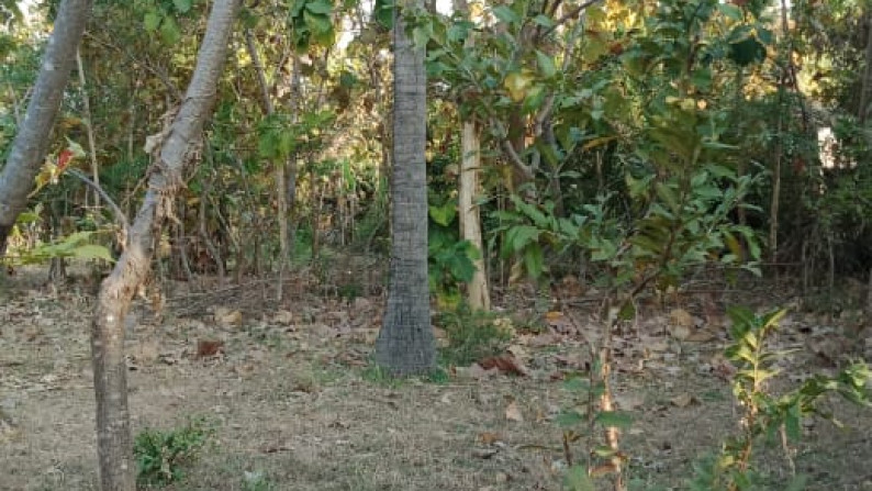 400m2 LAND FOR SALE IN LOVINA