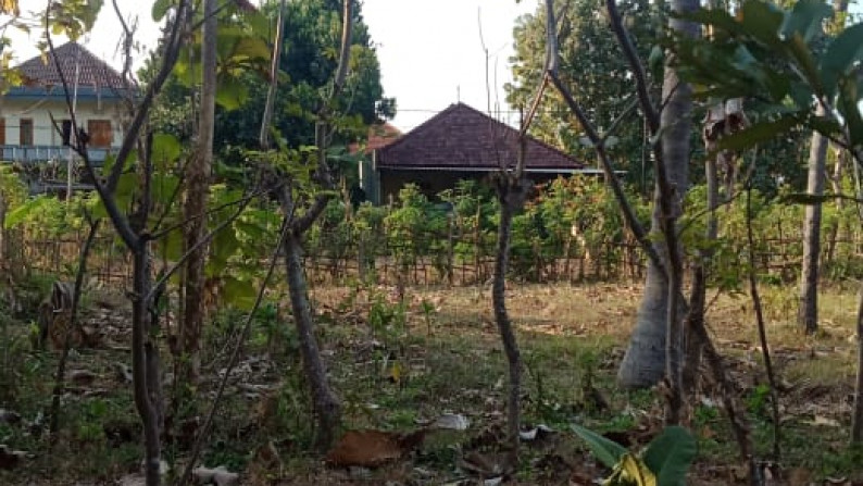 LAND FOR SALE IN LOVINA