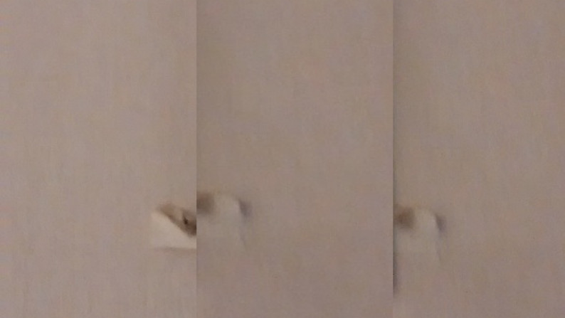 Apartemen Bagus sekali di Kebayoran Baru DKI Jakarta Selatan