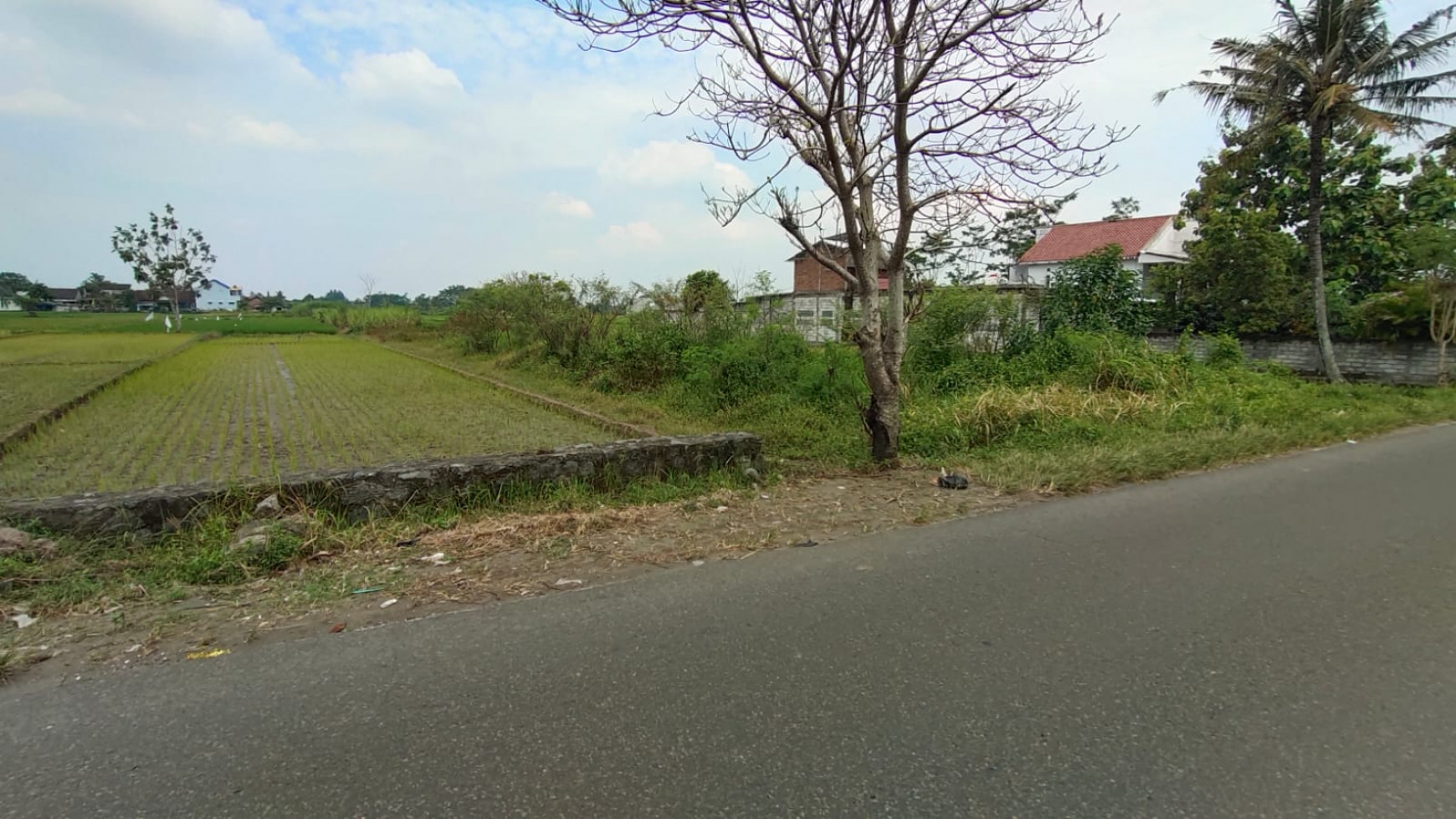 Tanah Sawah 493 Meter Persegi Hanya 400 Meter Dari Jl Godea Km 8