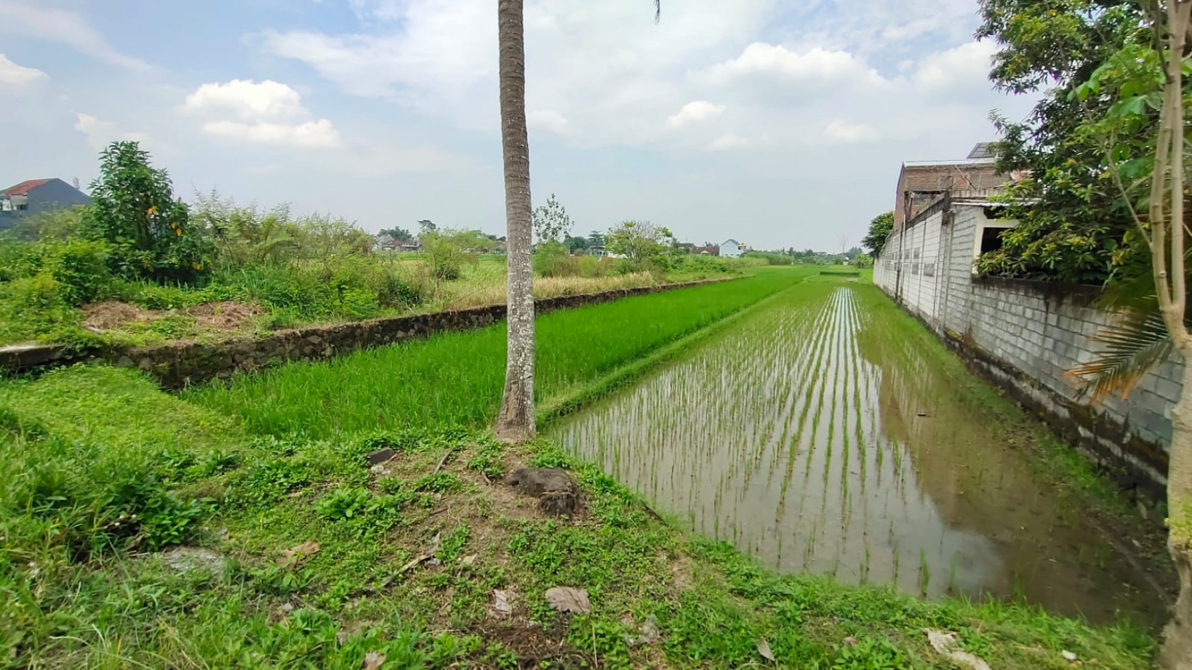 Tanah Sawah 493 Meter Persegi Hanya 400 Meter Dari Jl Godea Km 8