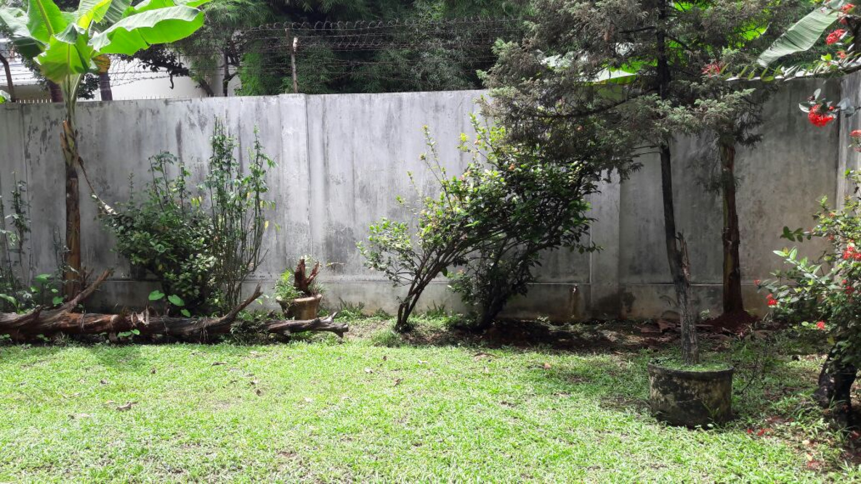 Rumah Asri ,Besar di Kebayoran Lama