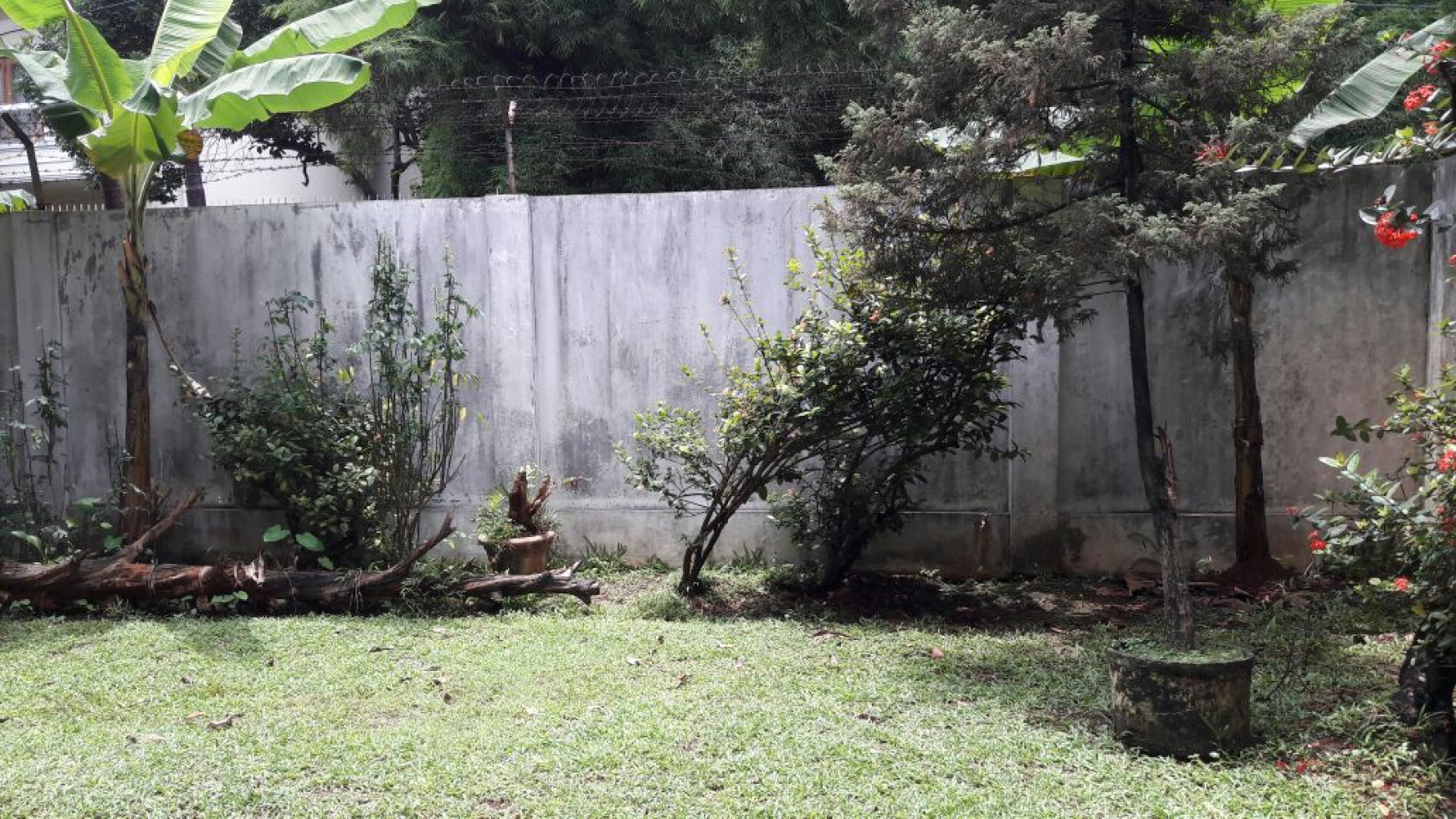 Rumah Asri ,Besar di Kebayoran Lama