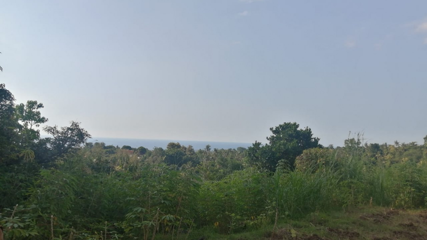 Magic 2100 M2 sea view land for only 70.000 Euros in Lovina