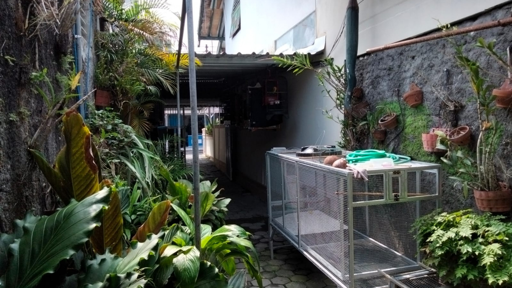 Rumah 3 Kamar  Dekat Kampus UGM - Pogung Lor