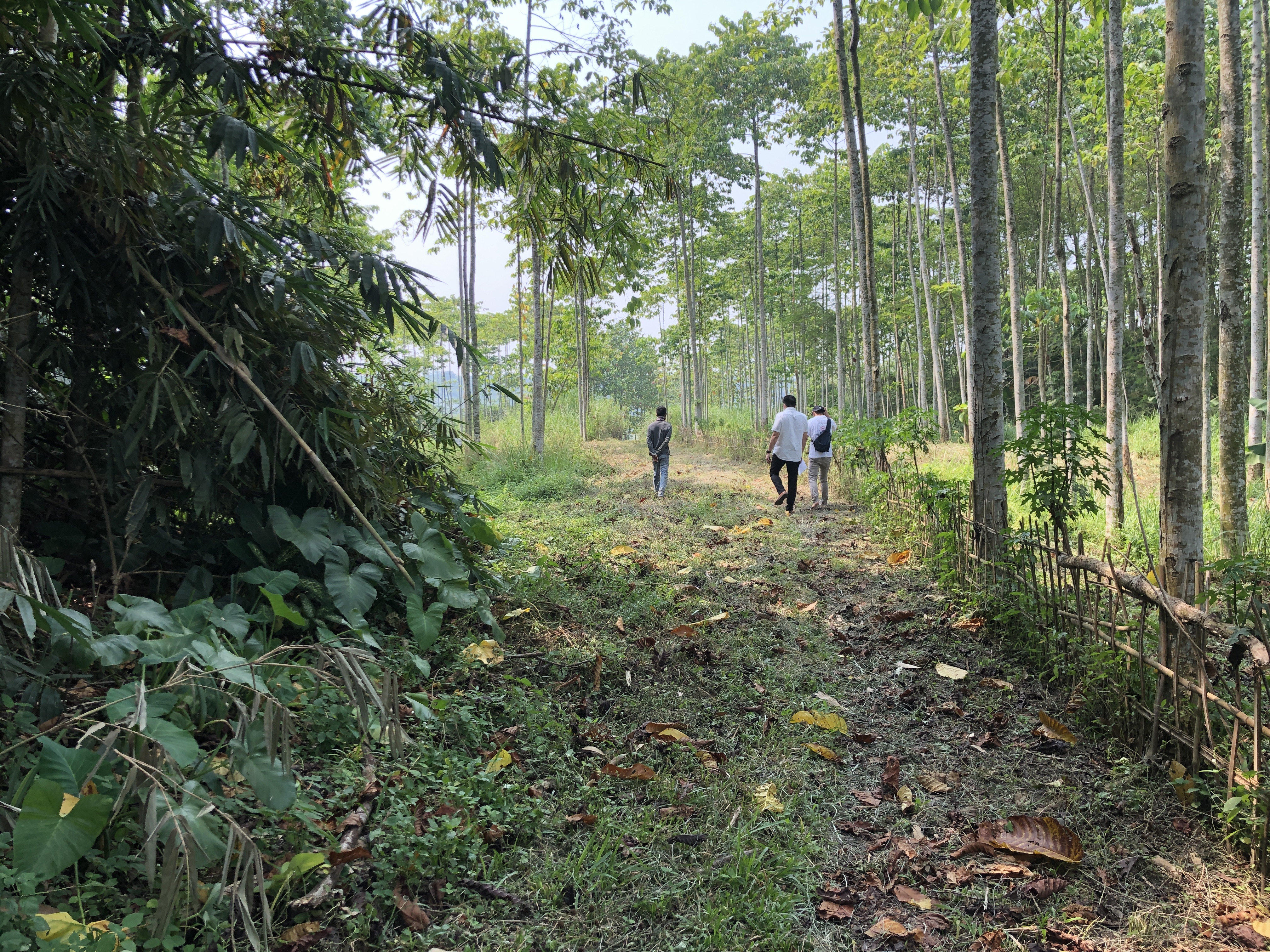 Tanah Rumpin Strategis, Cocok Untuk Taman Wisata Dan Perumahan