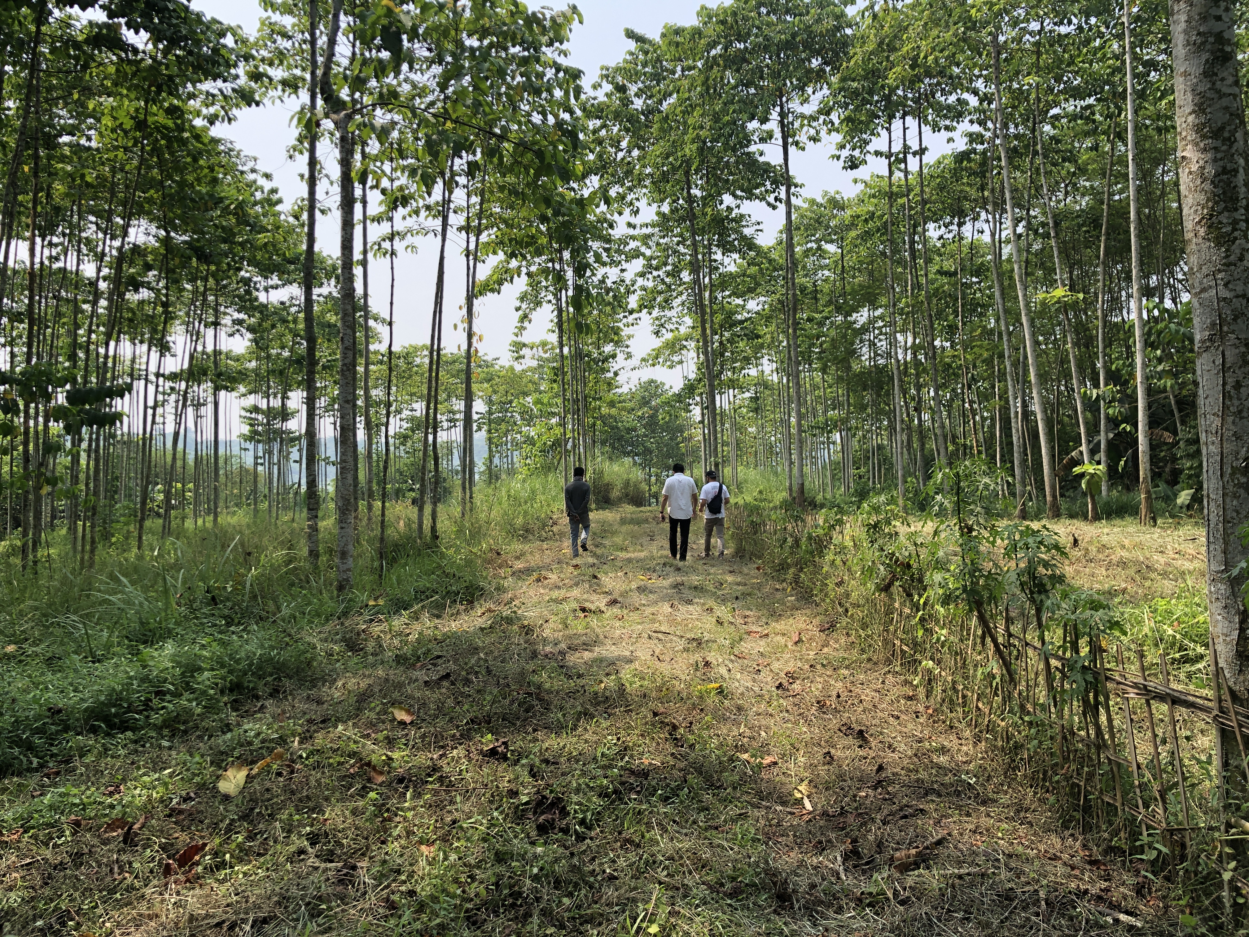 Tanah Rumpin Strategis, Cocok Untuk Taman Wisata Dan Perumahan