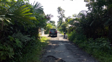 Tanah Sawah 3185 Meter Persegi Di Jl Tempel - Turi Sleman