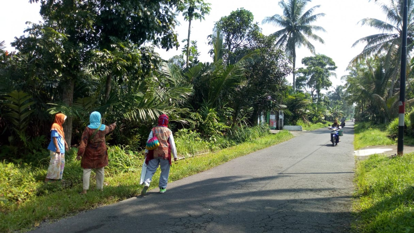 Tanah Sawah 1000 Meter Persegi Di Jl Argo Wisata 