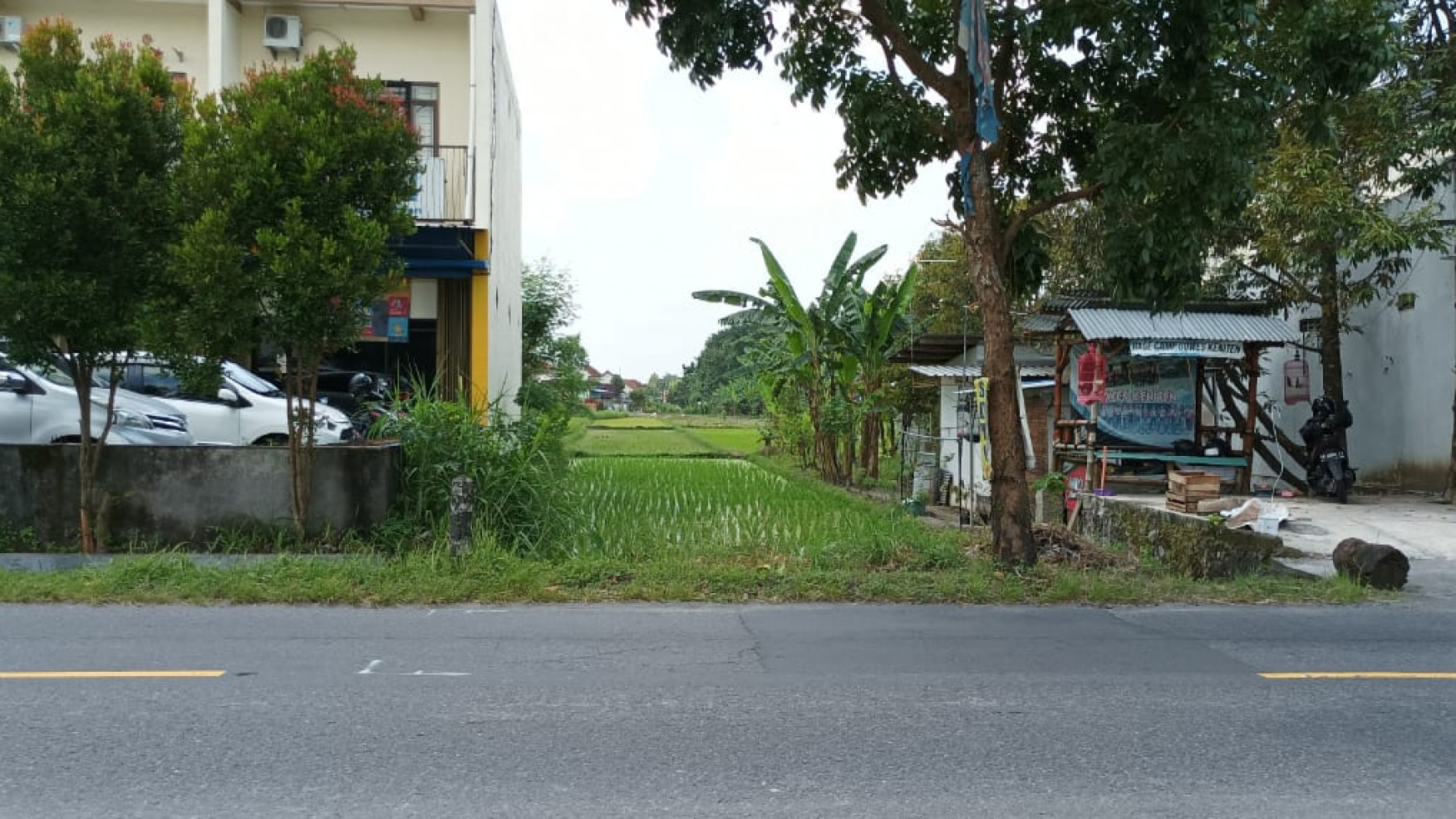 Tanah Sawah 889 Meter Persegi Di Jl Keniten Kalasan Sleman