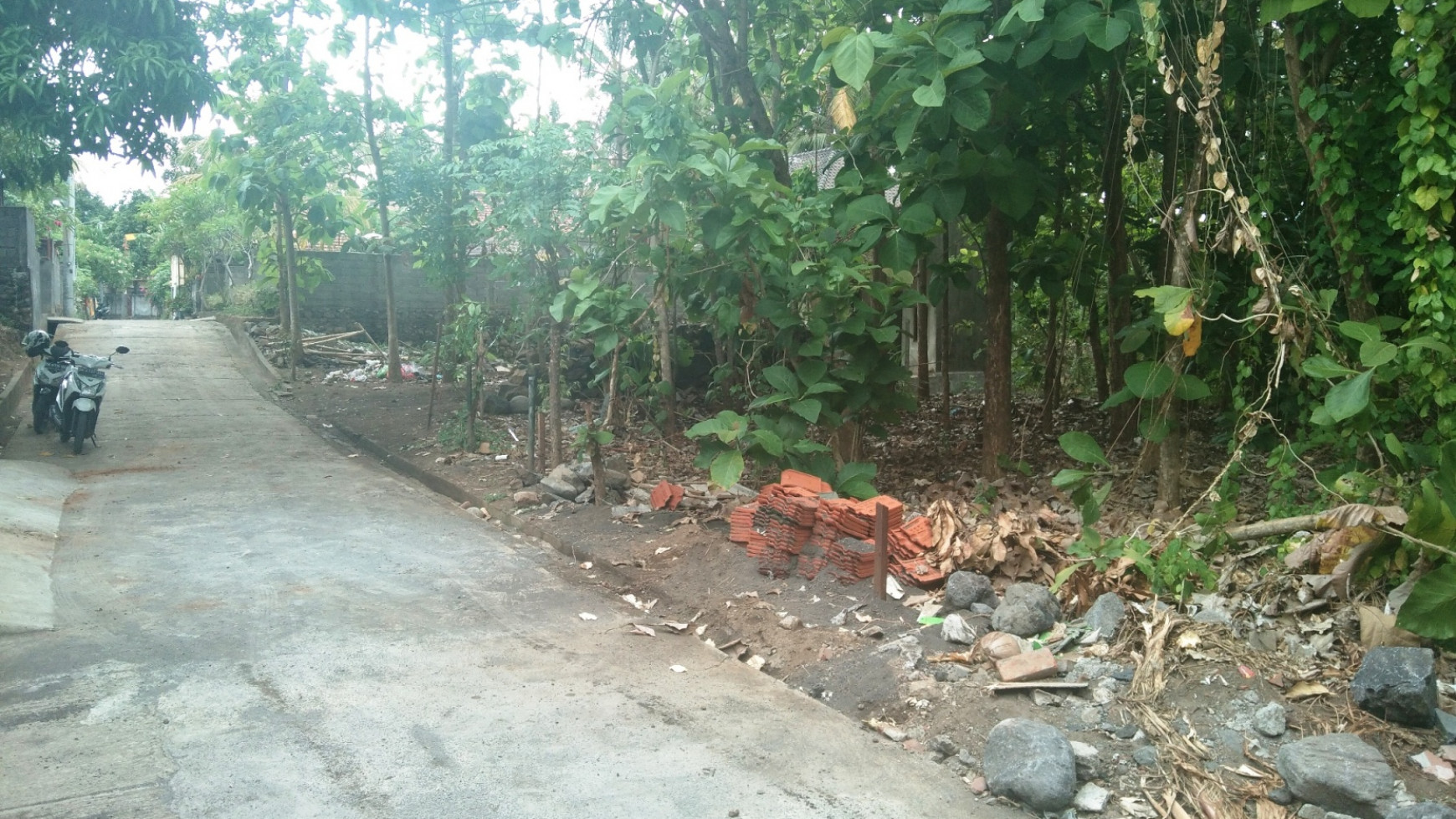 Land for sale near central Lovina