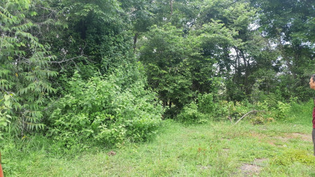 Land for sale