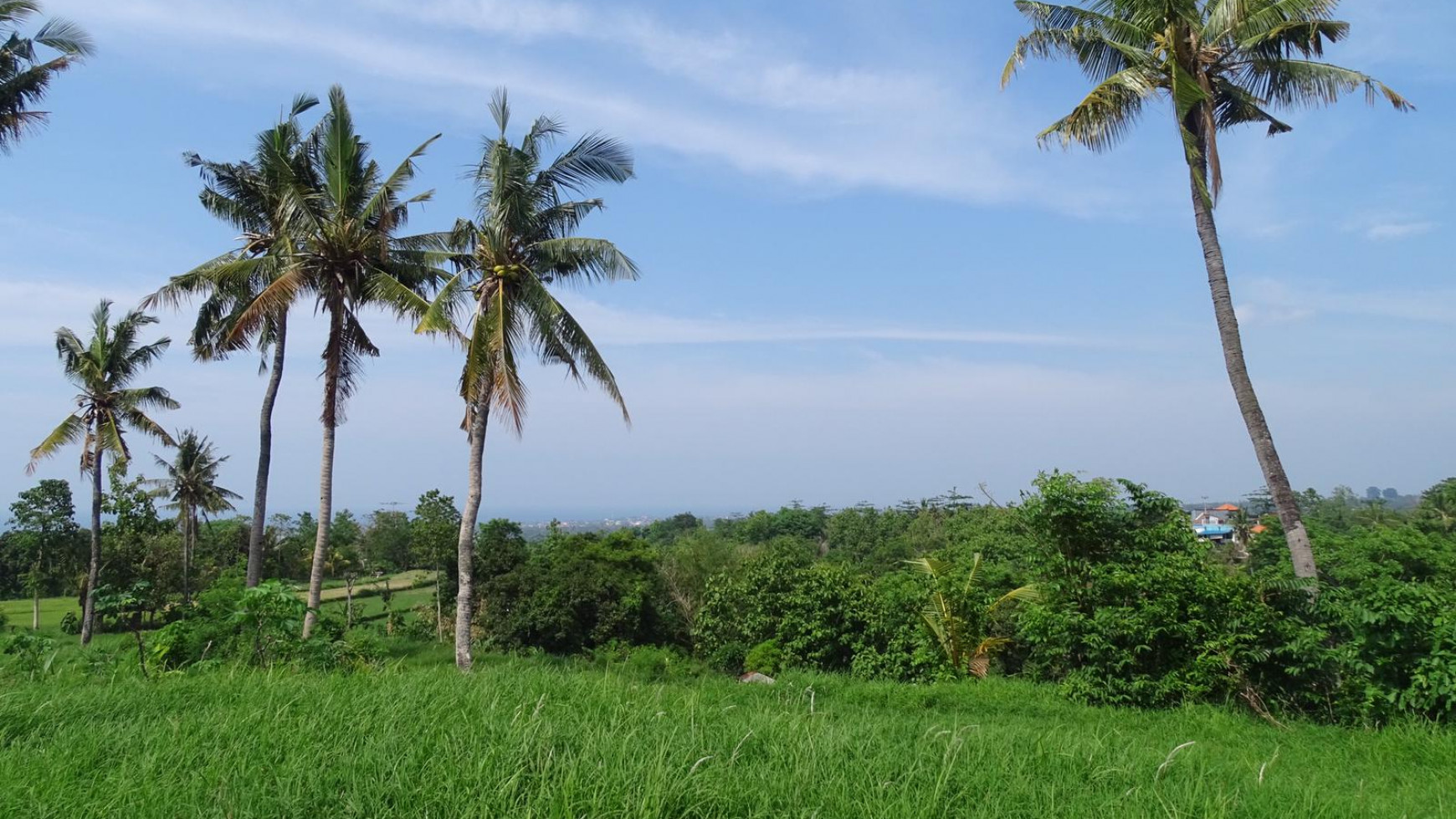 Land For Sale with Stunning View