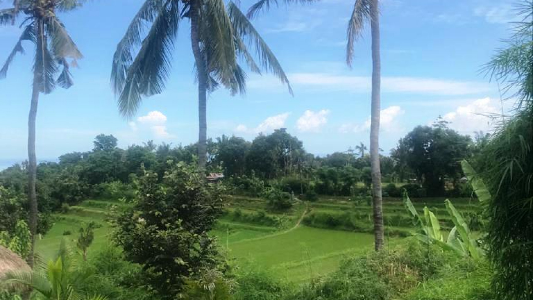 Land For Sale with Stunning View