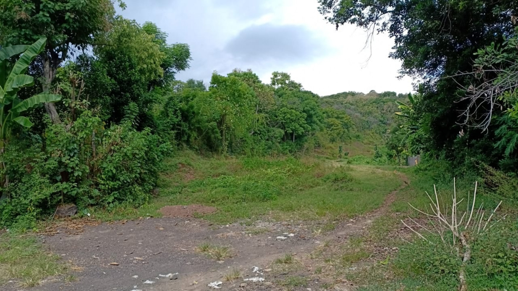 LAND FOR SALE