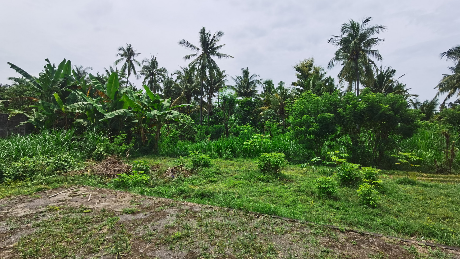 LAND IN THE WEST OF BULELENG