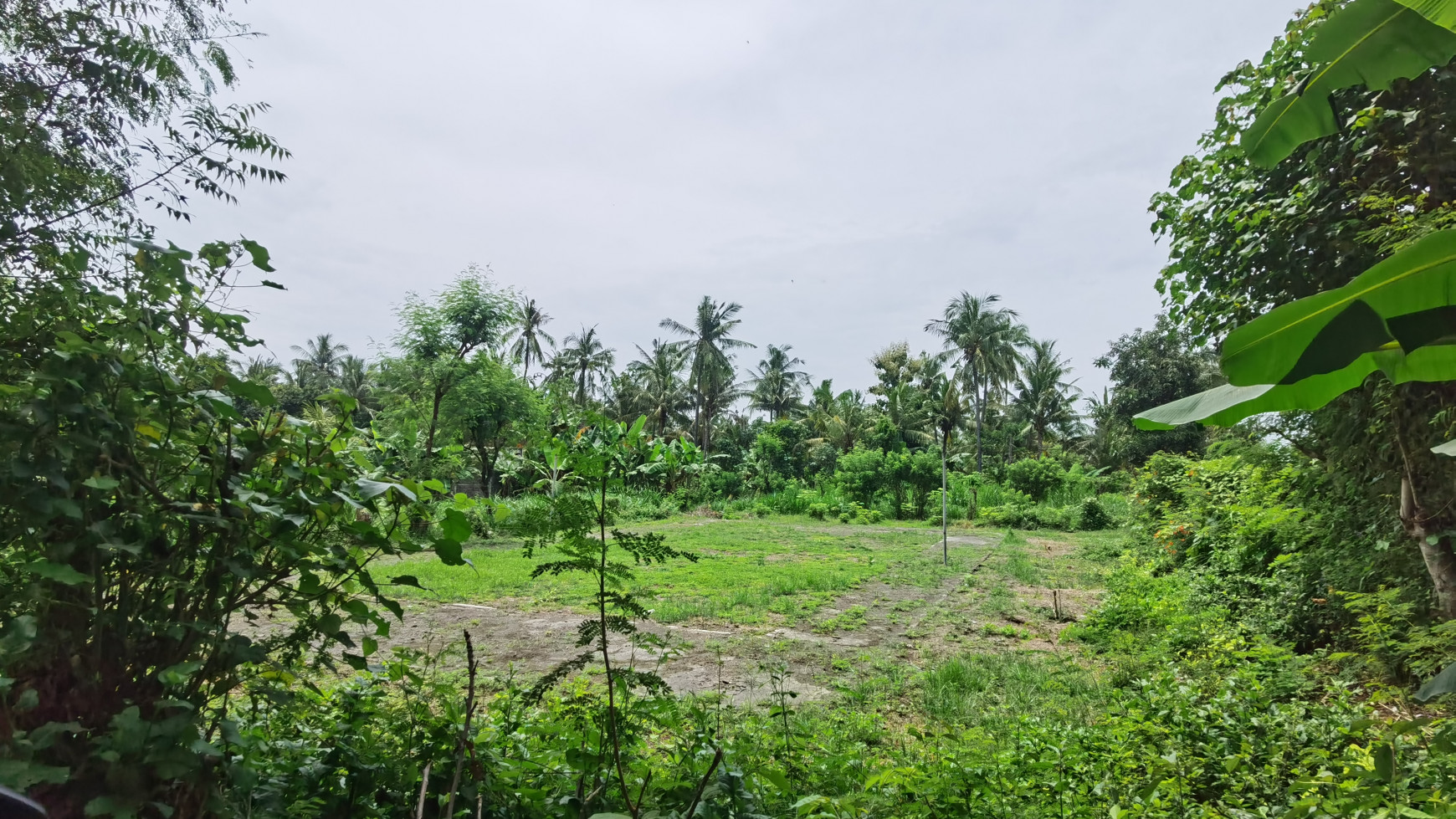 LAND IN THE WEST OF BULELENG