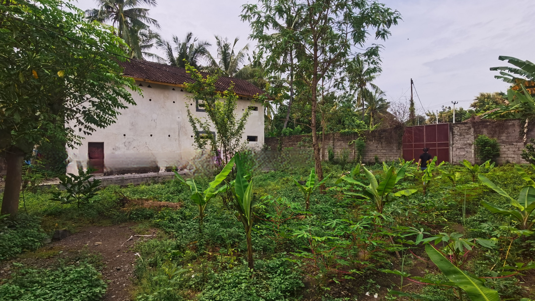 LAND IN THE WEST OF BULELENG