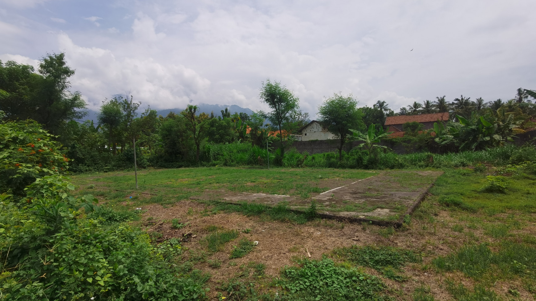 LAND IN THE WEST OF BULELENG