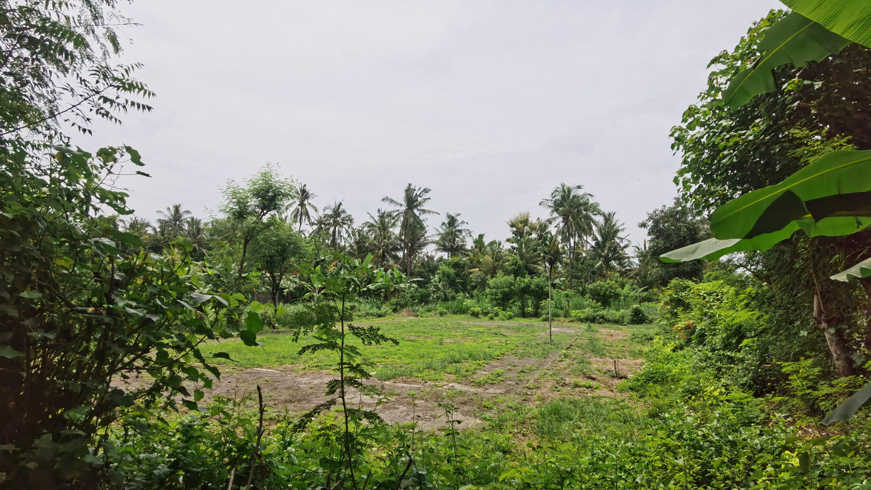 LAND IN THE WEST OF BULELENG