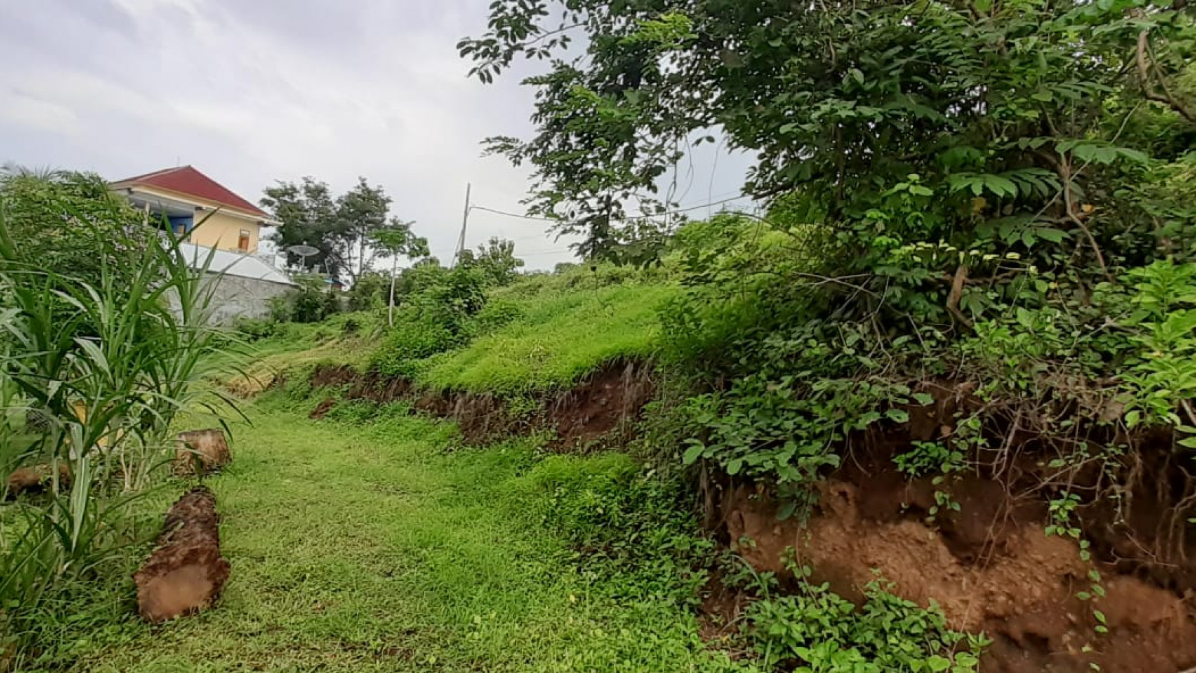 Land close to the center of Lovina