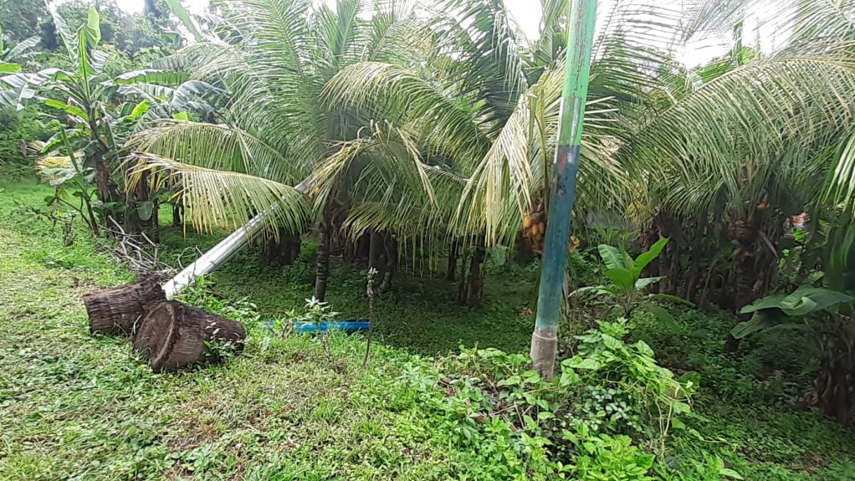 Land close to the center of Lovina