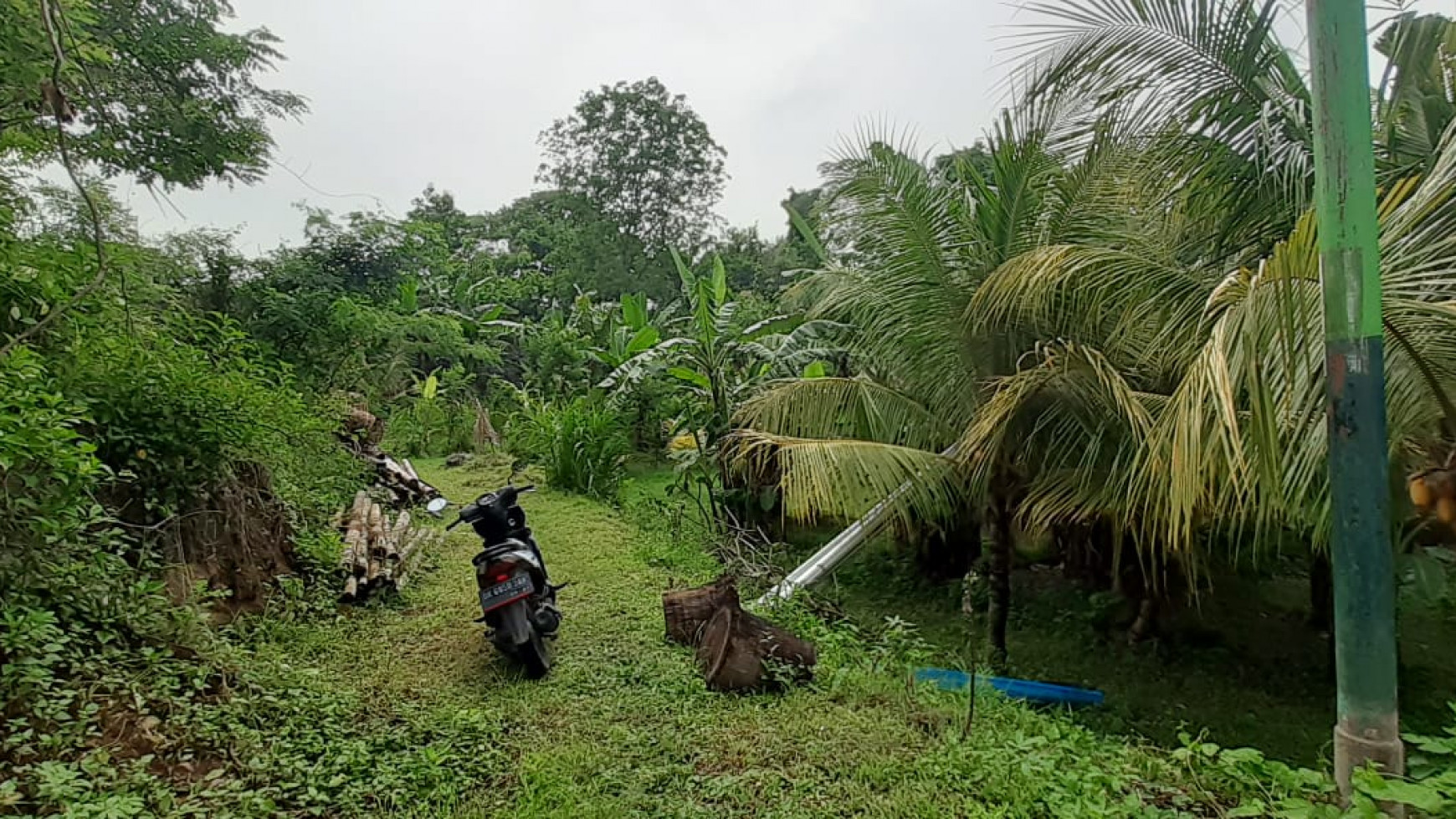 Land close to the center of Lovina