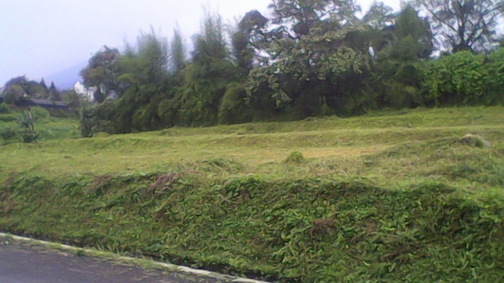 TURUN HARGA!! KAVLING JALAN PADARANCANG - CIPANAS