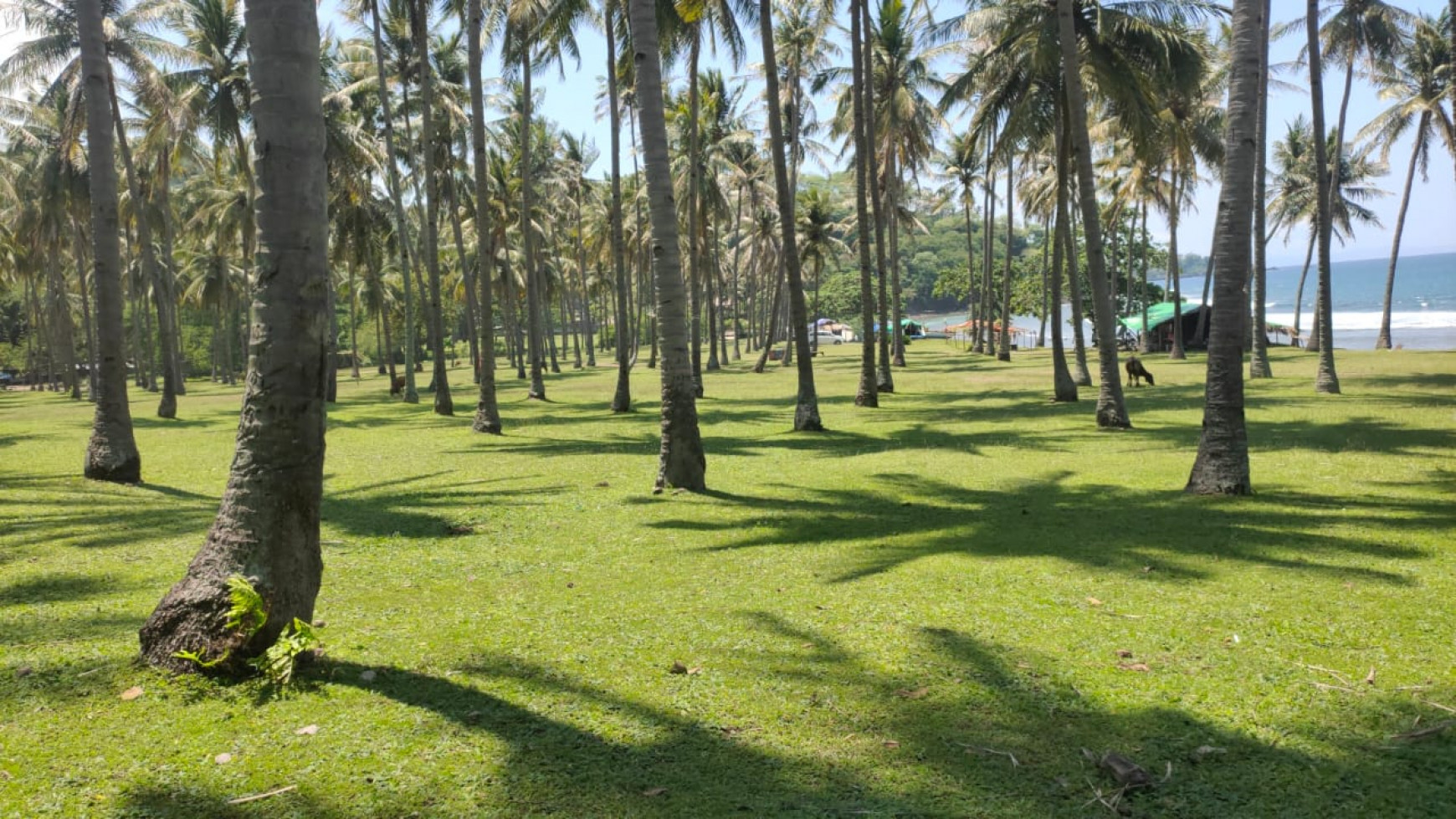 Kavling Pinggir pantai  untuk bangun Hotel/Resort  .di Lombok.