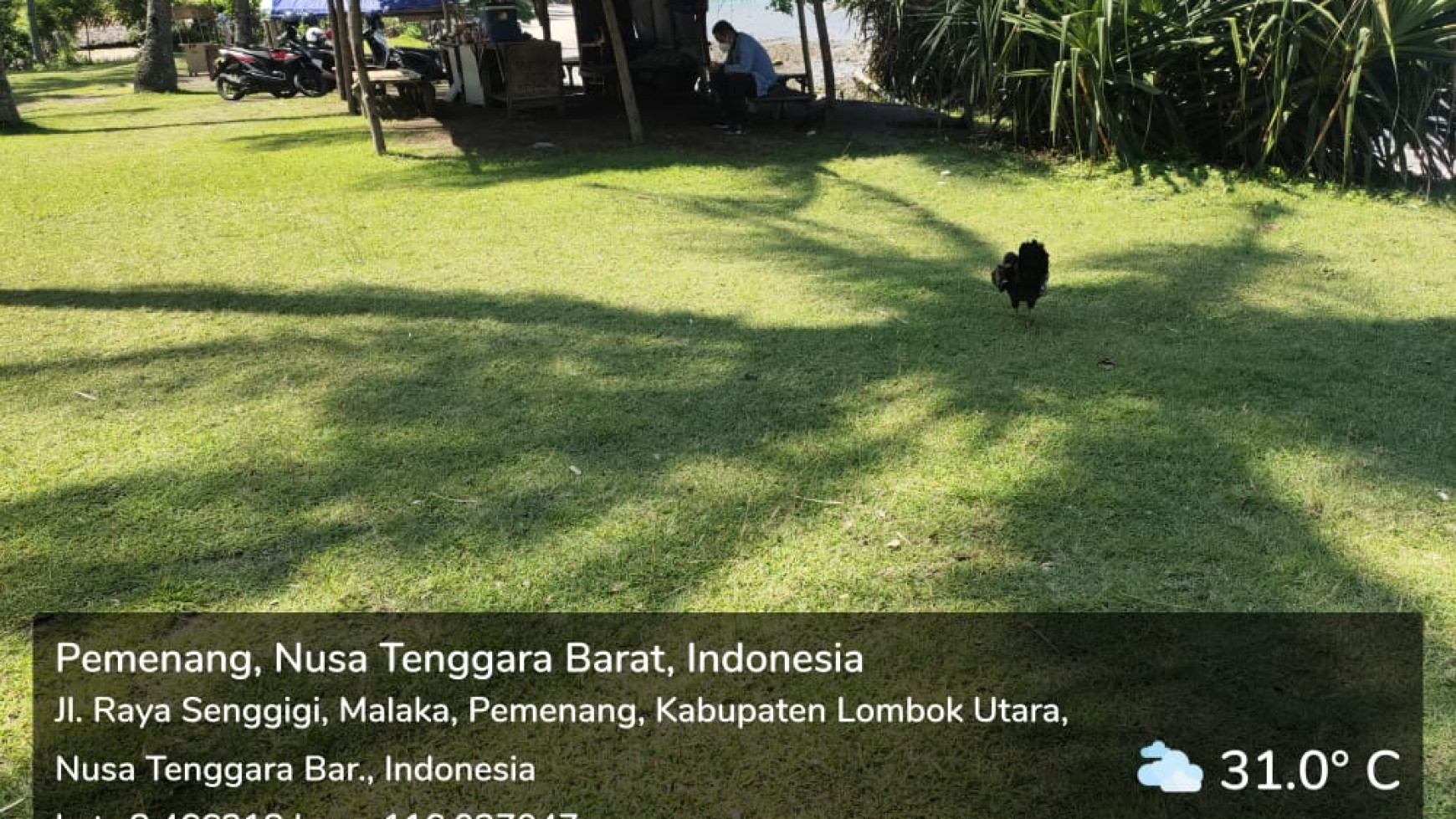 Kavling Pinggir pantai  untuk bangun Hotel/Resort  .di Lombok.