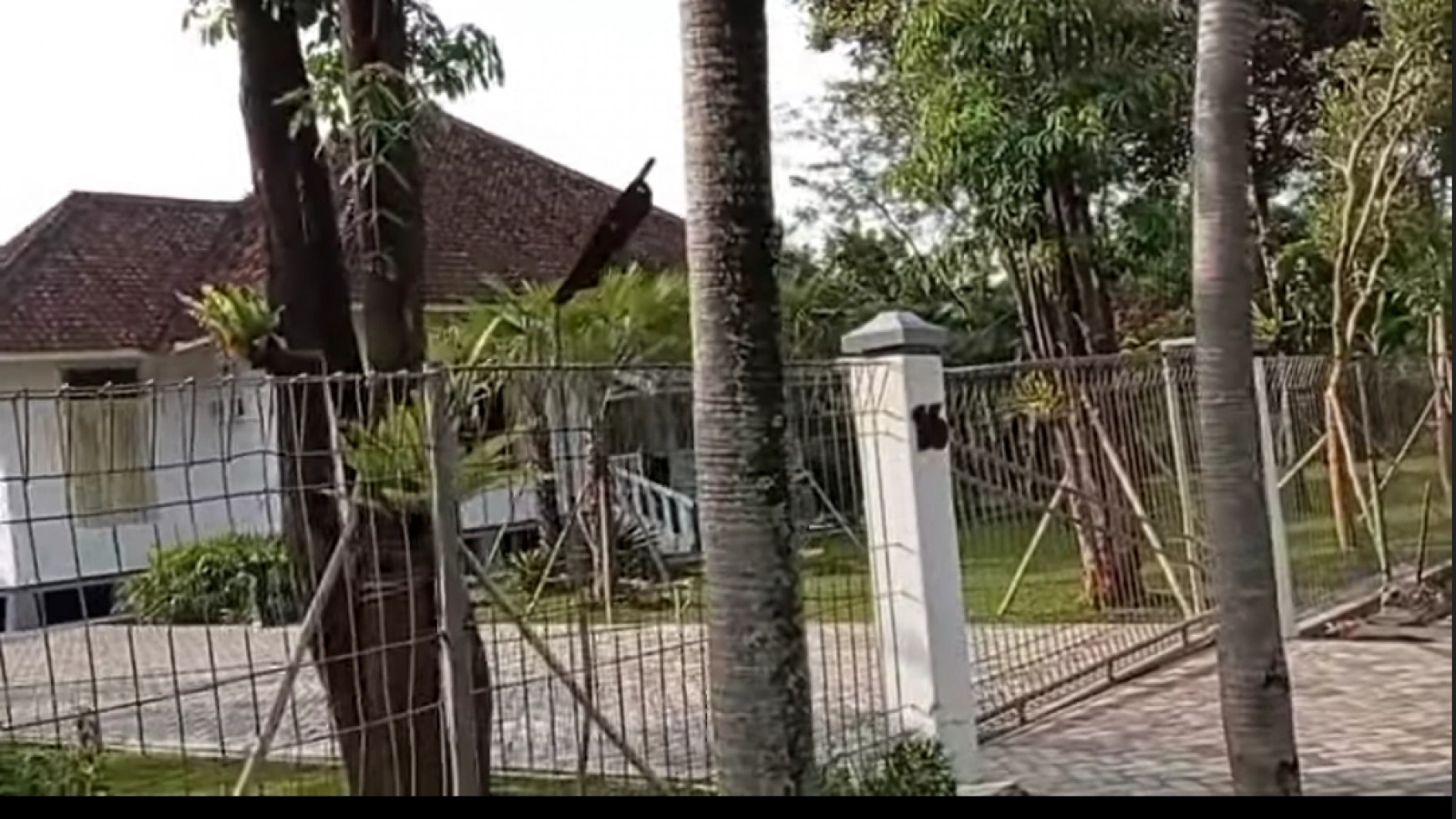 Rumah Peninggalan Kolonial  Belanda - di Cepu