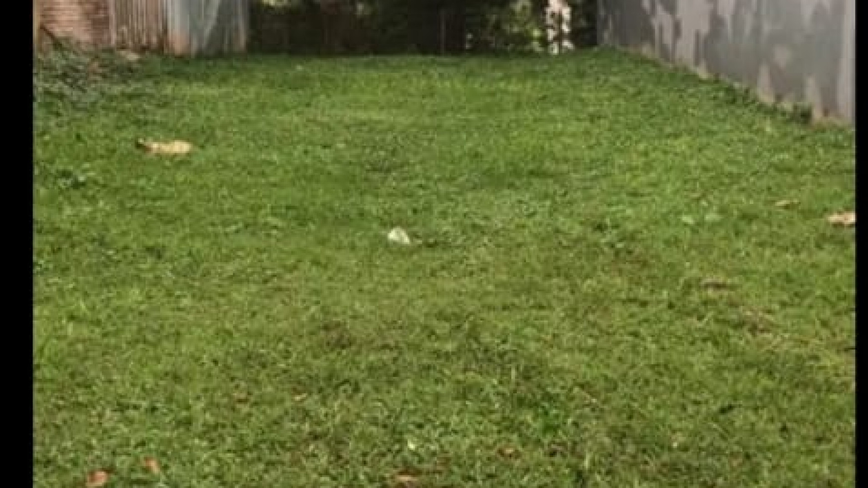 Kavling badan jarang ada Foresta BSD city