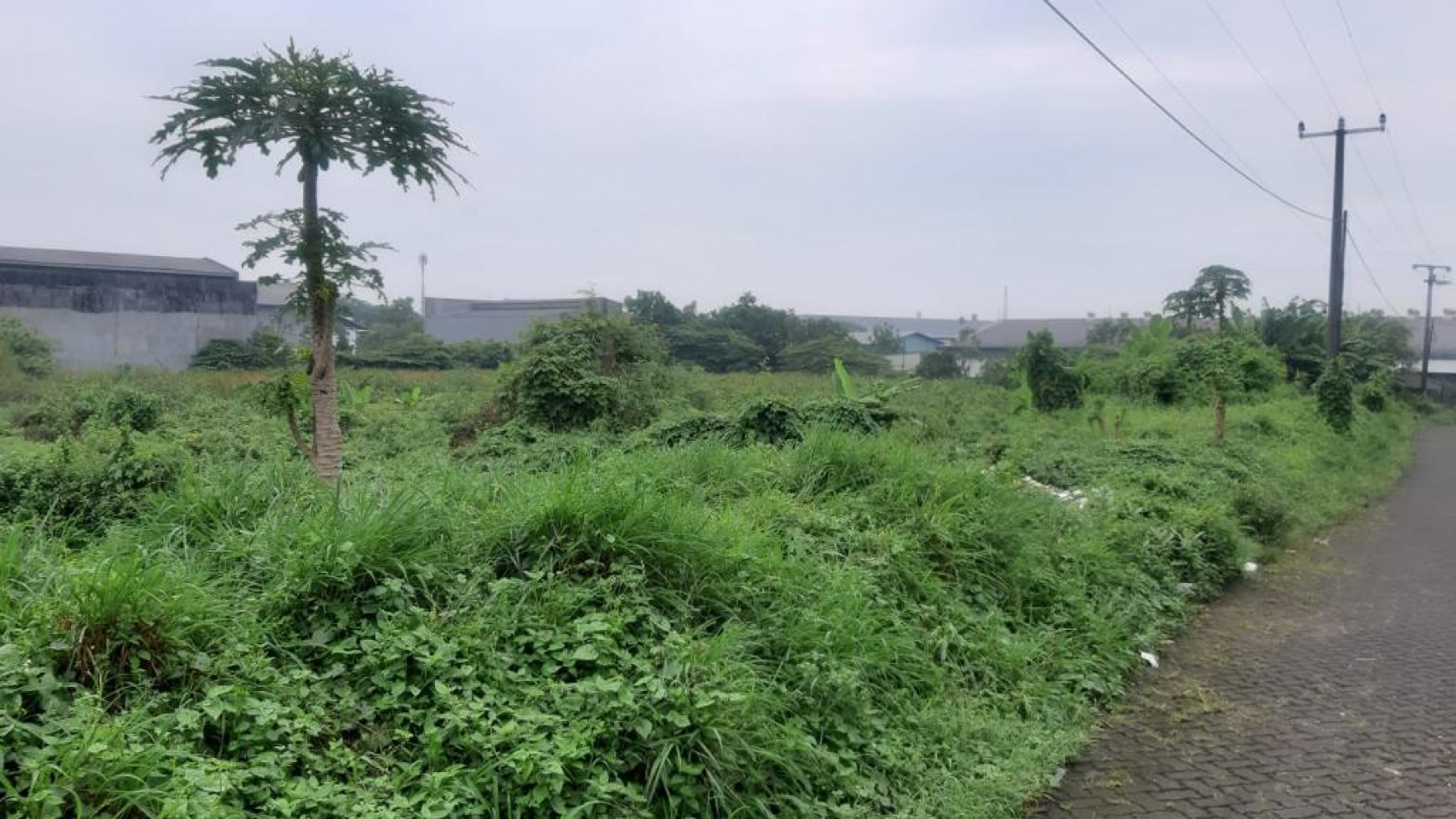 TANAH DIJUAL JALAN PAGAULAN JAWA BARAT