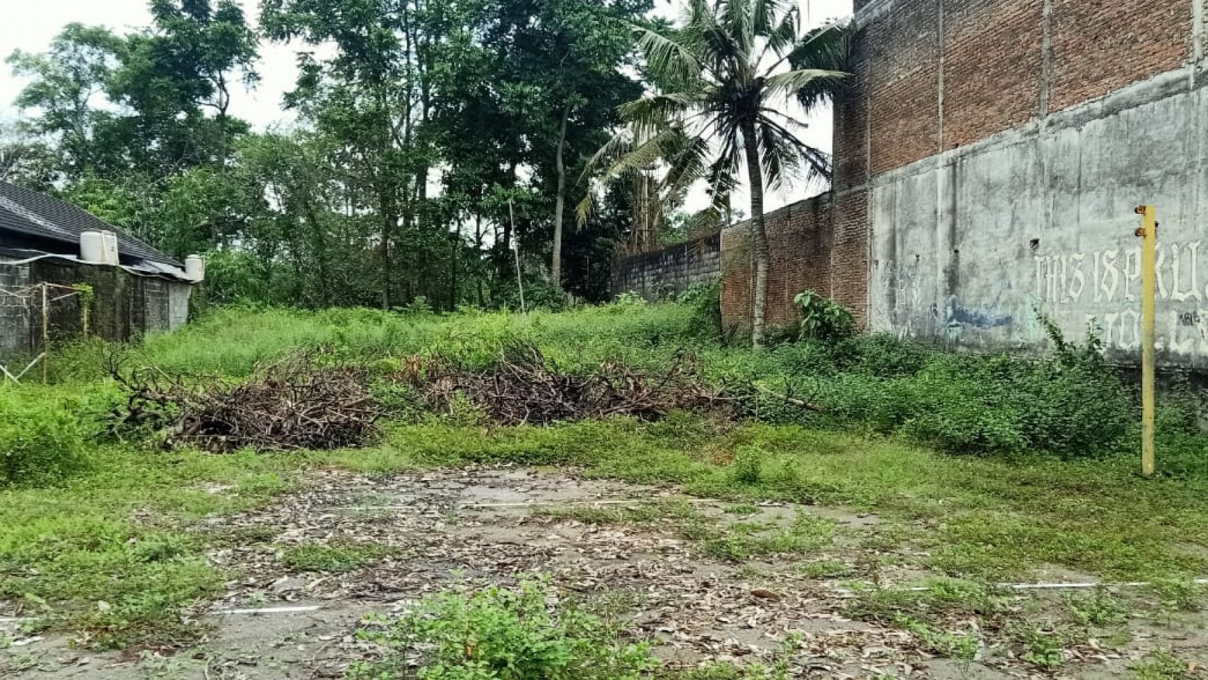 Tanah Pekarangan Luas di Prujakan, Jl.Damai - Sleman